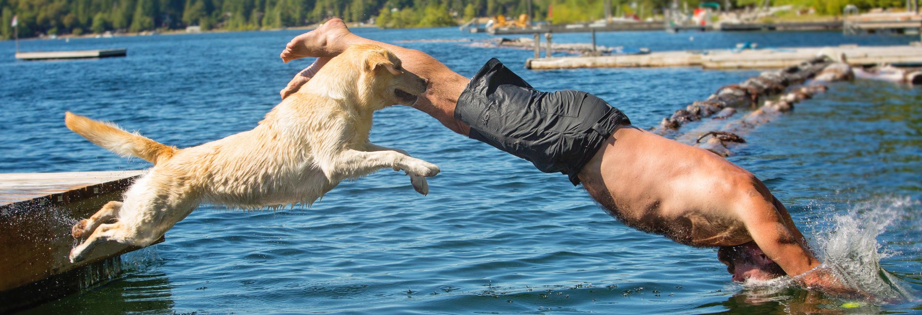 Physio Check - Mann springt mit Hund ins Wasser